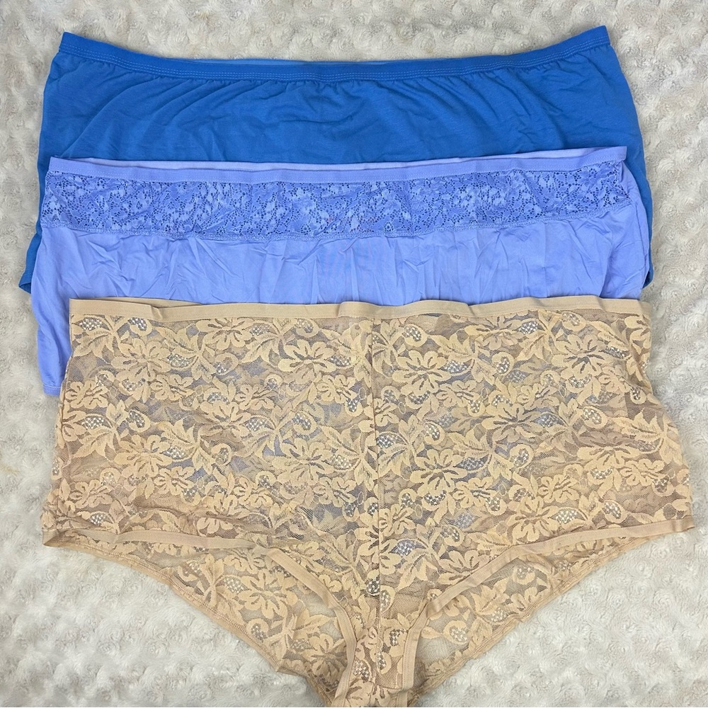 Comfort Choice Underwear Sampler Bundle Size 12 Nude Lace Cotton Brief